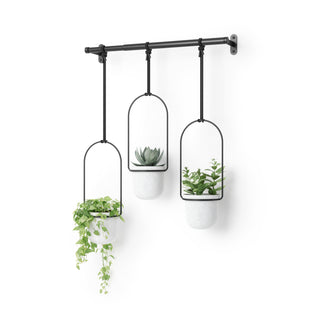 Umbra Triflora Hanging Planter - Set Of 3 - White/Black
