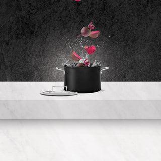 Pyrolux ignite Stock Pot with Lid 22cm/5.6L