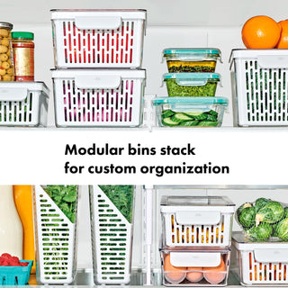 OXO Produce Saver, Large Bin